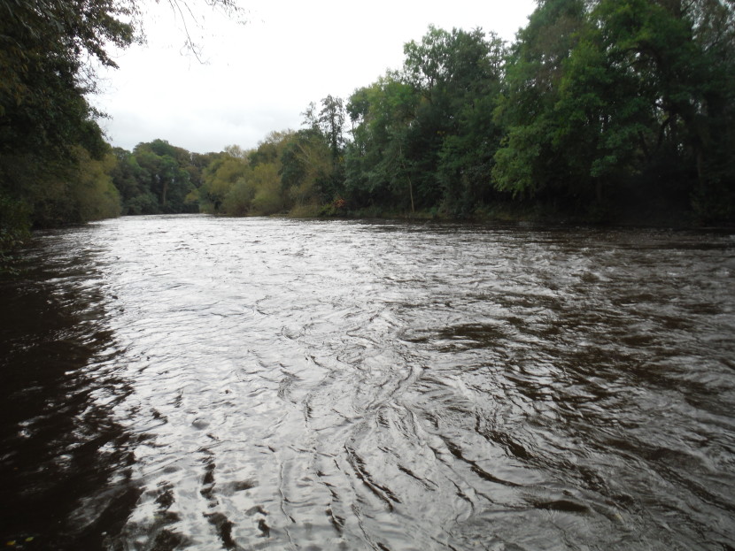 Salmon water on the middle Usk